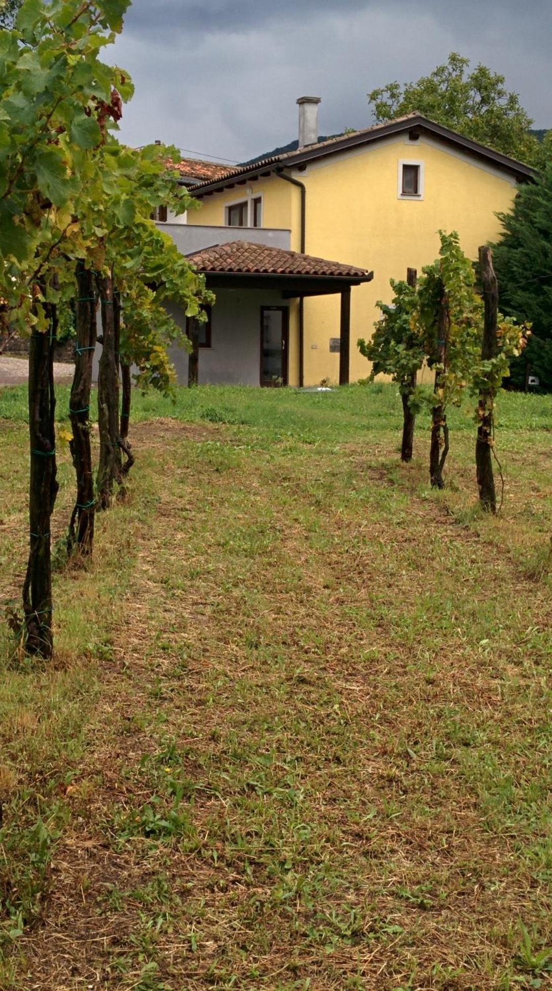 Small House In Vipava Valley Exterior foto